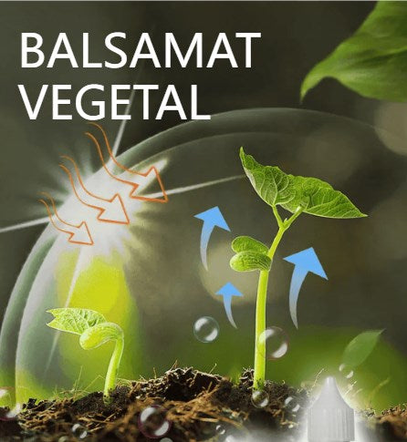 🔥【Kupi 2, dobiješ 1 gratis】🌱🌱Hranjiva otopina koja potiče rast biljaka